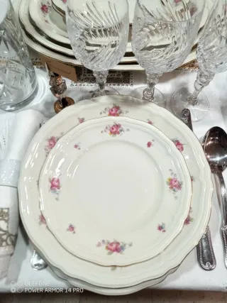 Seltmann Weiden Bavaria servizio tavola porcellana