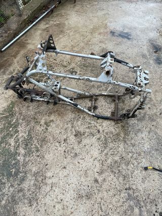Chasis Polaris Predator