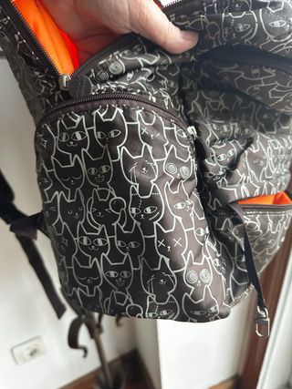 Salvador Bachiller. Mochila gatos