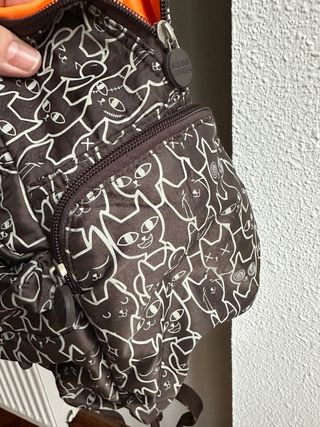 Salvador Bachiller. Mochila gatos