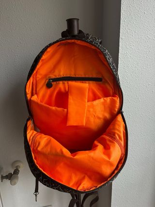 Salvador Bachiller. Mochila gatos