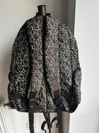 Salvador Bachiller. Mochila gatos