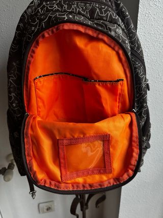 Salvador Bachiller. Mochila gatos