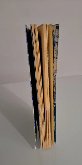 Trampa Bajo Las Aguas