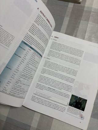 LENGUA CASTELLANA Y LITERATURA 2º BACH. (19)