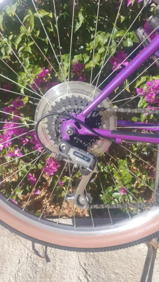 ✨BICICLETA CLÁSICA GIANT Restaurata, pronta per l'uso✨