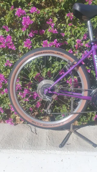 ✨BICICLETA CLÁSICA GIANT Restaurata, pronta per l'uso✨