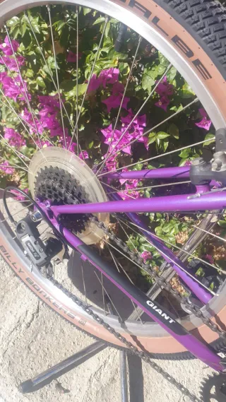 ✨BICICLETA CLÁSICA GIANT Restaurata, pronta per l'uso✨