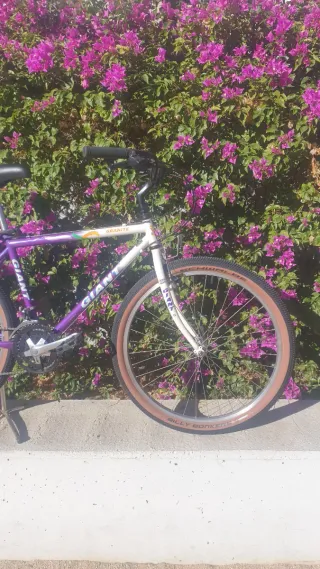 ✨BICICLETA CLÁSICA GIANT Restaurata, pronta per l'uso✨