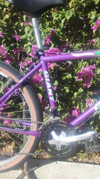 ✨BICICLETA CLÁSICA GIANT Restaurata, pronta per l'uso✨