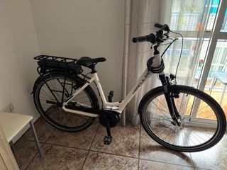 Bicicleta Eléctrica Bosch Hércules