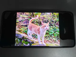 Samsung Galaxy S21 FE 5G