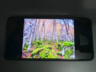 Samsung Galaxy S21 FE 5G