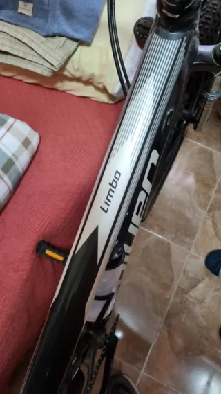 Bicicleta da montagna Couler Limbo 296