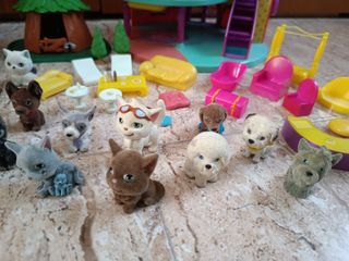 Puppies in my pocket