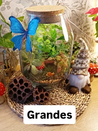 REGALOS NAVIDAD. Jardines Eternos.