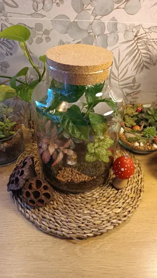 REGALOS NAVIDAD. Jardines Eternos.