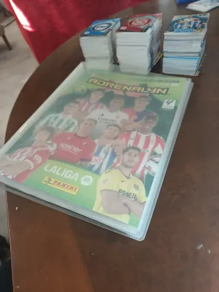 Cromos Adrenalyn XL 24-25