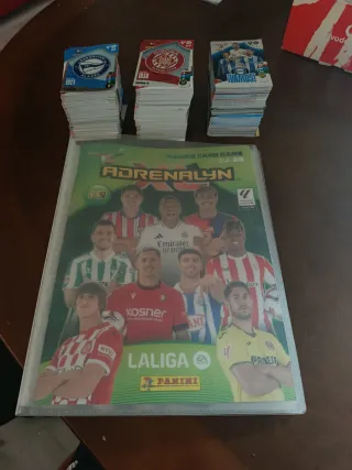 Cromos Adrenalyn XL 24-25