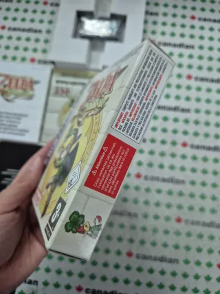 La Leggenda di Zelda: The Minish Cap per GBA