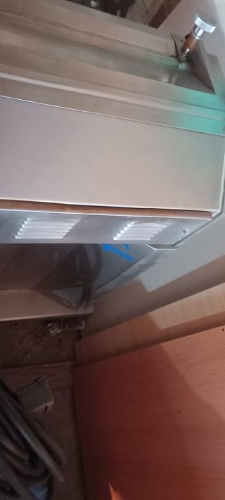 Peladora de pescado Palinox