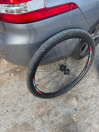 Rueda Trasera 29 con Disco