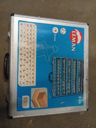 Juego 66 Fresas Leman 8mm