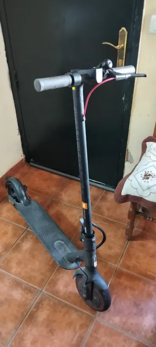 Patín Eléctrico Xiaomi