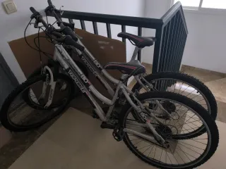 2 Bicicleta Aluminio Topbike 80 SY Rueda desinchad