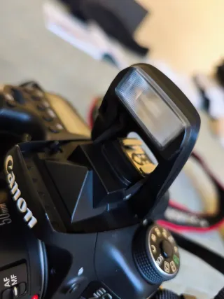 Canon EOS 70D (Cuerpo) con pantalla abatible como