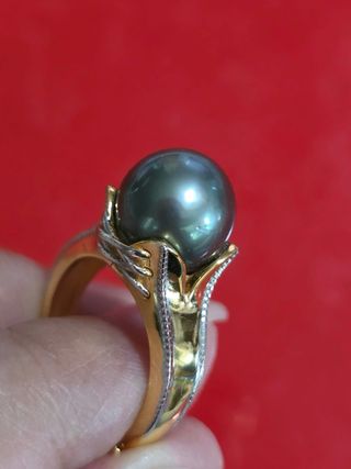 Anillo Perla Tahití 10-11.5mm Talla 51
