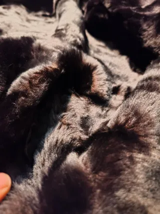 Abrigo de piel natural negro