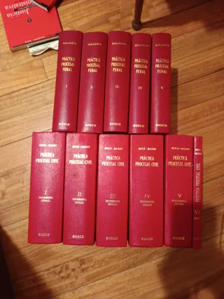 Colección Práctica Procesal Civil y Penal
