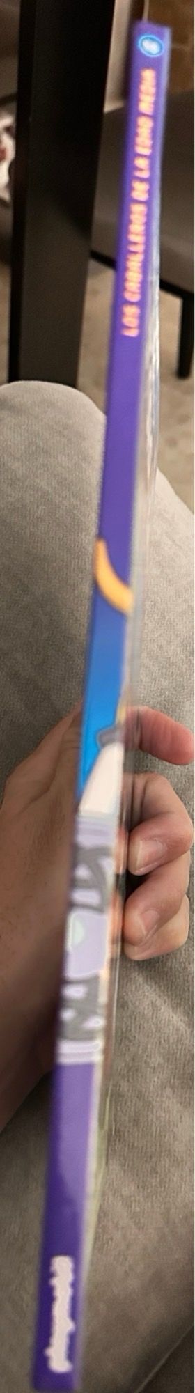 los caballeros de la Edad Media