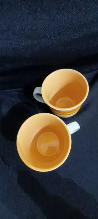 Set 2 Tazze Colorate Tognana