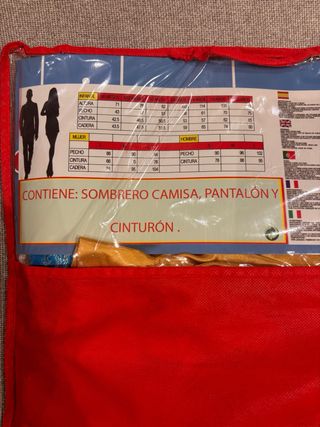 Disfraz paje adulto azul y dorado talla M