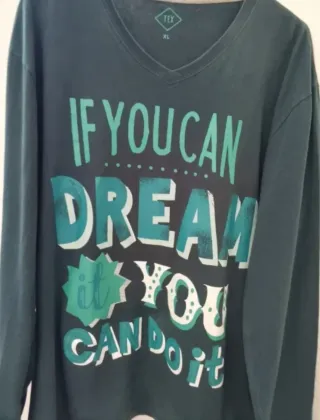 Camiseta If you can dream it
