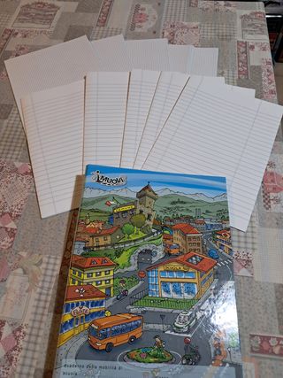 100 fogli protocollo righe quadretti quadernone