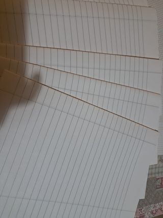 100 fogli protocollo righe quadretti quadernone