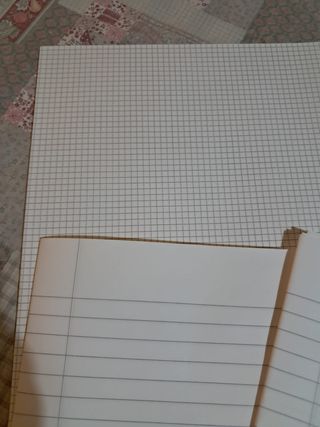 100 fogli protocollo righe quadretti quadernone