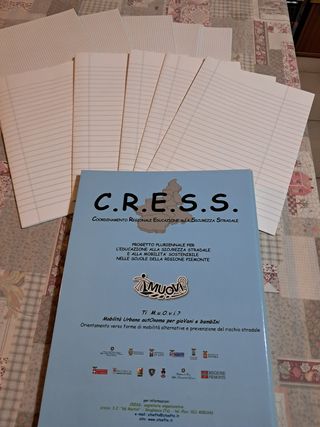 100 fogli protocollo righe quadretti quadernone