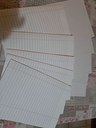 100 fogli protocollo righe quadretti quadernone