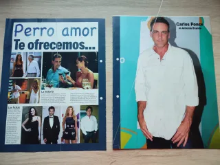 Perro Amor Nuevo Coleccionable