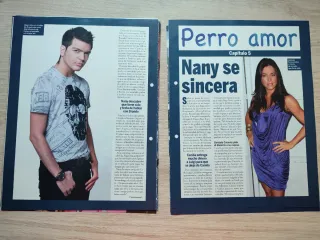 Perro Amor Nuevo Coleccionable