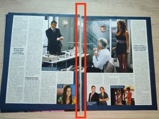 Perro Amor Nuevo Coleccionable