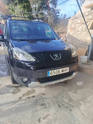 Peugeot Partner 2010