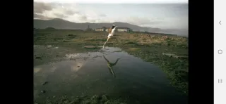 Cámara Leica C1 Plata