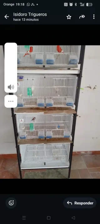 Módulo 4 Jaulones Cría Canarios