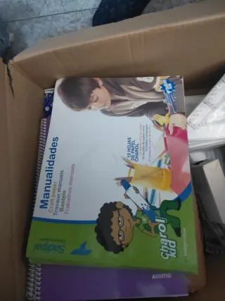 Lote Cuadernos Manualidades Sadipal