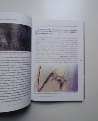 Málaga en el origen del arte prehistórico europeo.